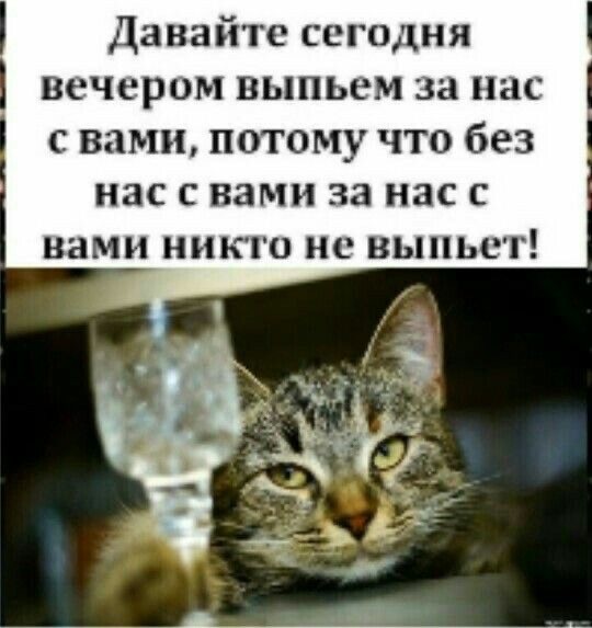 Душевный ужин