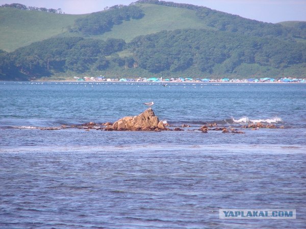Поездка на побережье Яп.моря