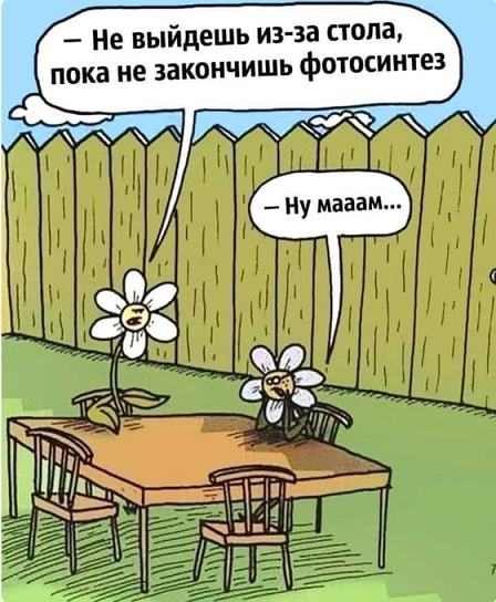 Камень не выбрасывать