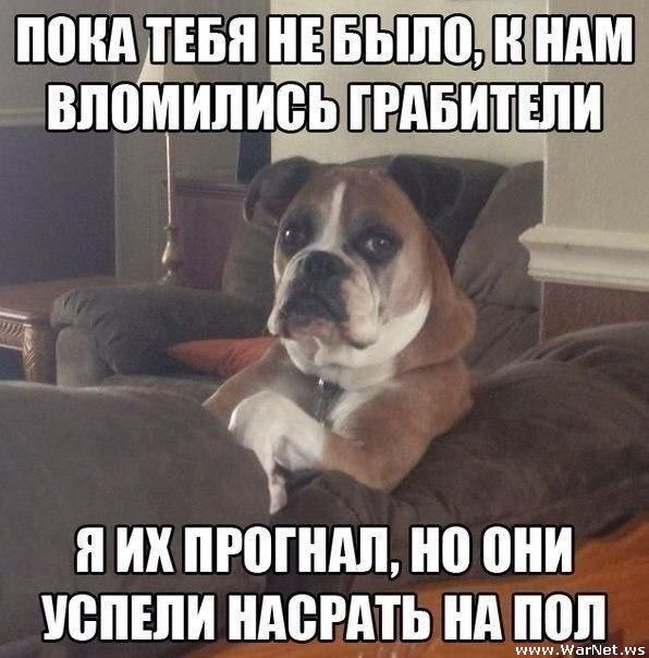 В пятницу чуть-чуть, уж точно можно деграднуть!