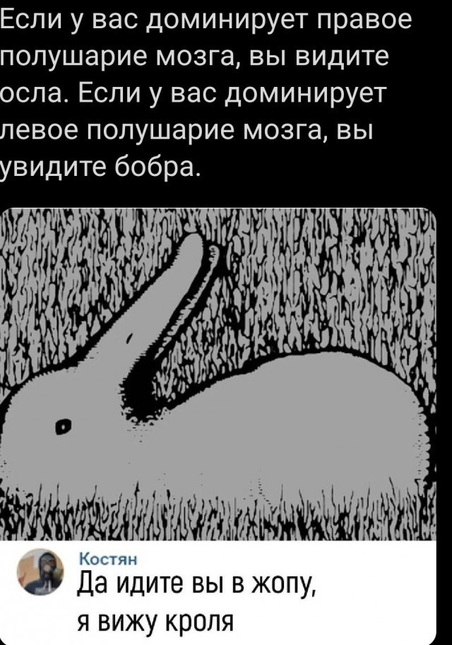 Как разглядеть утку на картинке