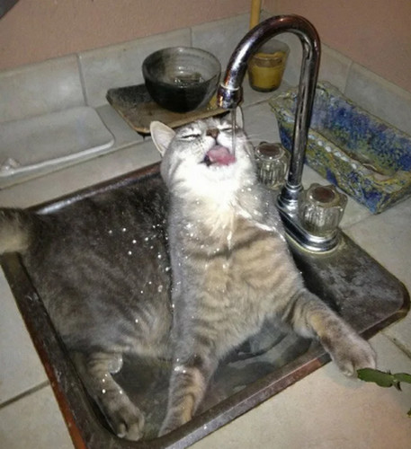 Мужики поймут