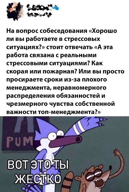 Весёлый полтишок 5.08.22