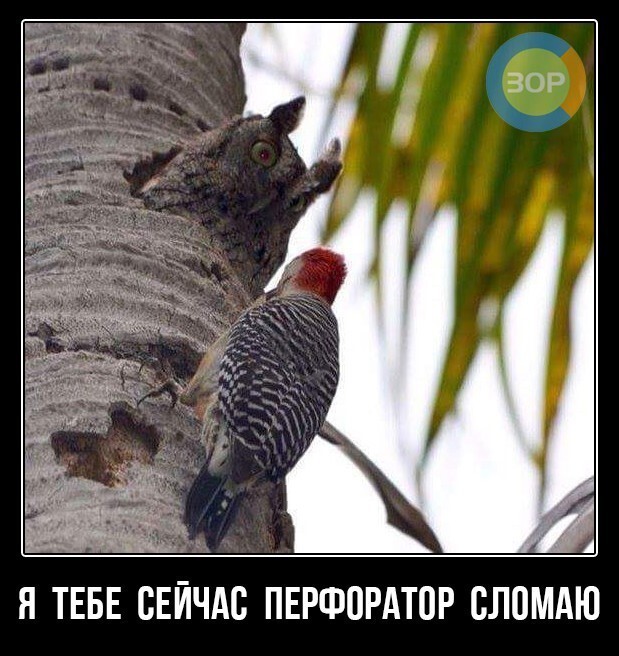 Так себе картинки 10.10.22