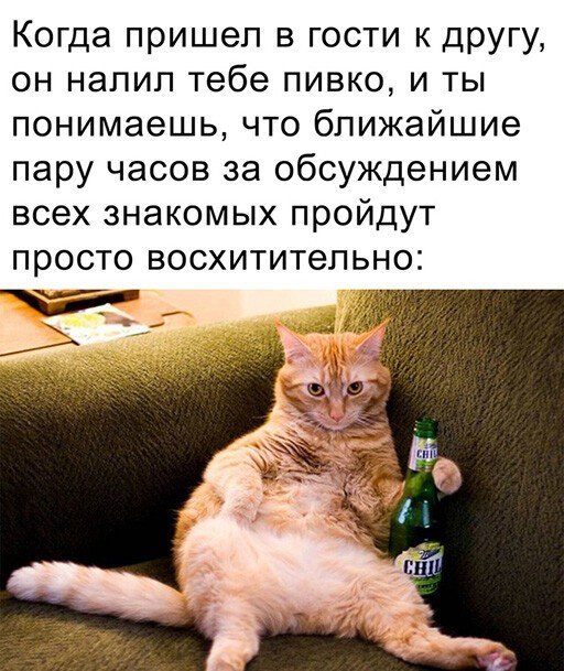 Прикольные и просто красивые картинки 21.02.2023