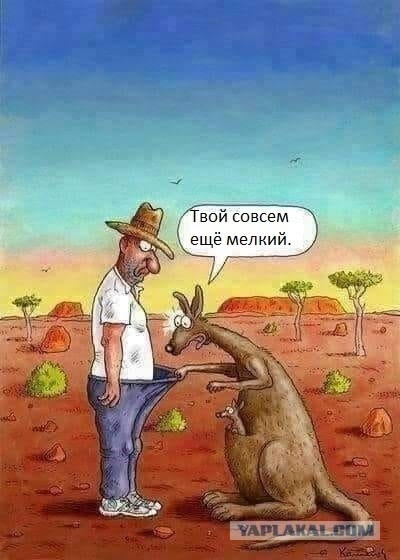 Русалочки