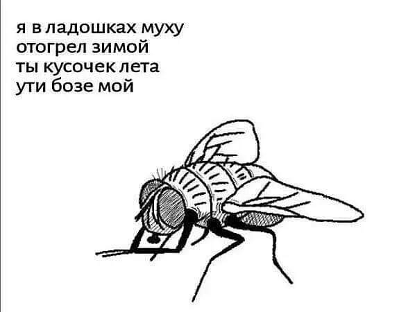 Картинки от Scodero