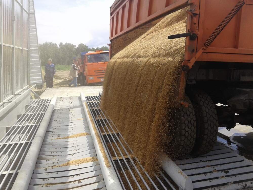 Как выгружают зерно. Автоприем зерна. Разгрузчик вагона хоппера рвх-90. Как выгружают зерно. Разгрузка зерна.