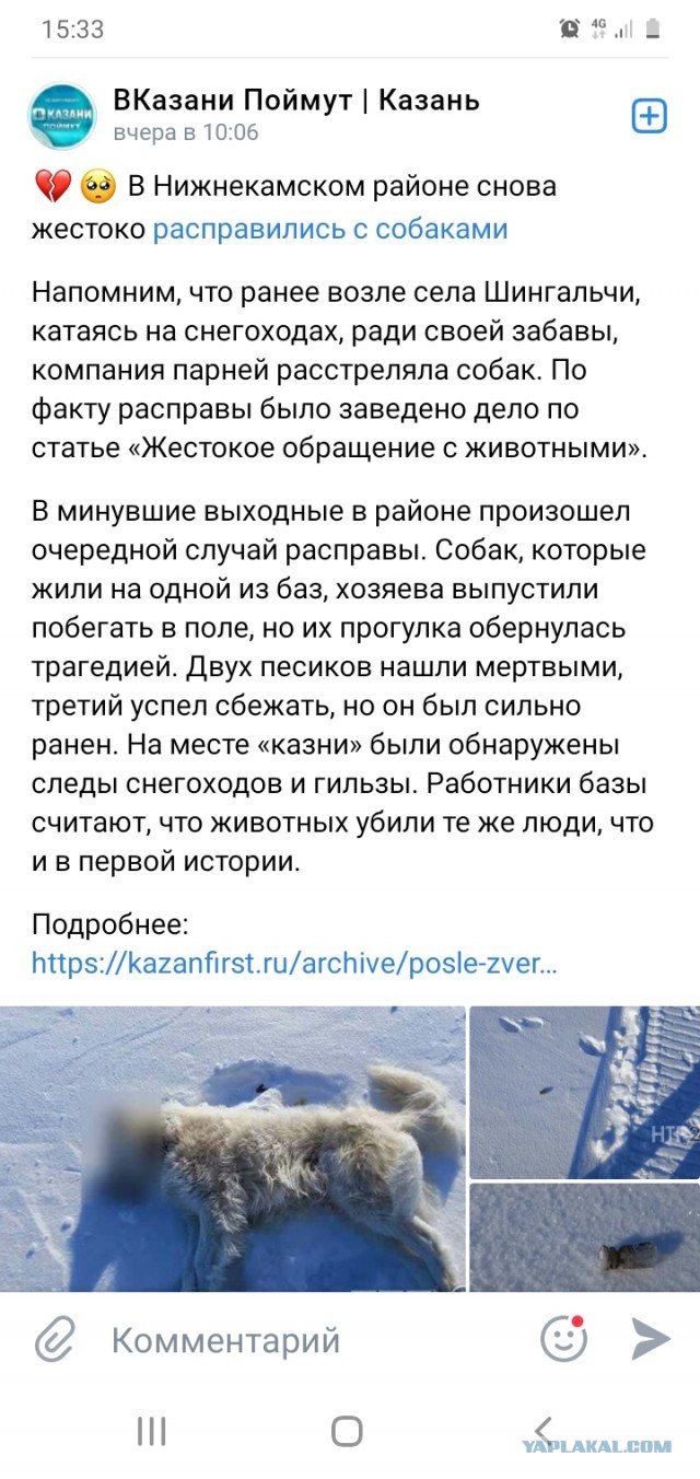 Федосов: как зоозащитники мне «рот затыкали»