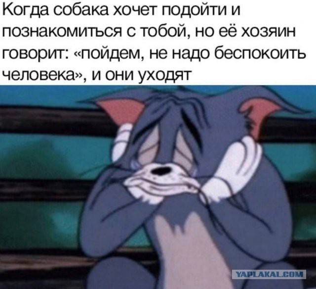 Весёлый полтишок 04.03.24
