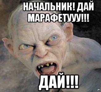 18-летний немец написал на земляков 4227 доносов