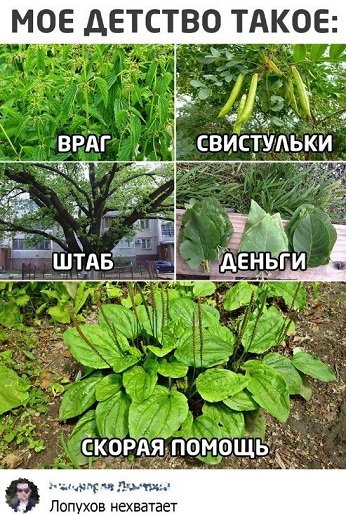 Пора в космос!