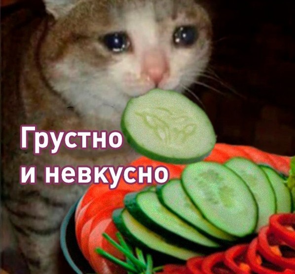 Ля ты крыса двуногая