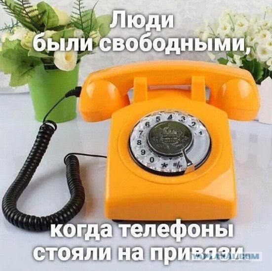 Байаны