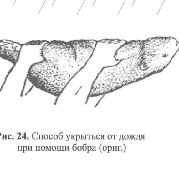 Так себе картинки 14.11.24