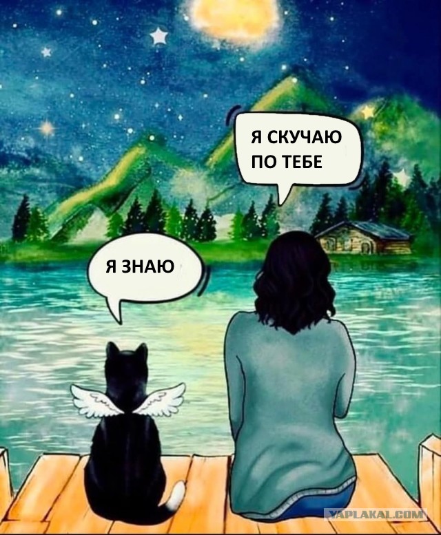 Пост одной картинки