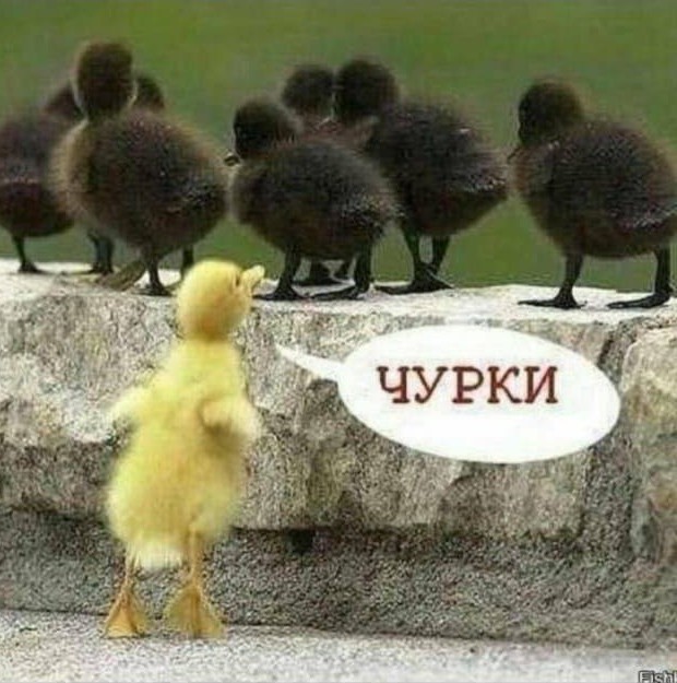 Из мира деградации - 14