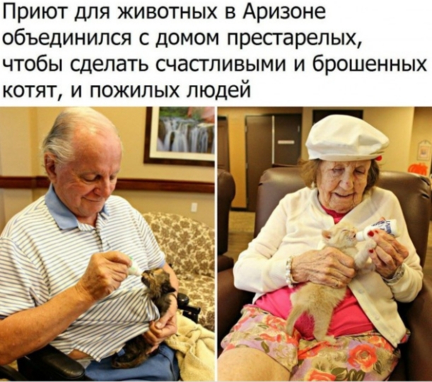 Весёлый полтишок 18.03.2025