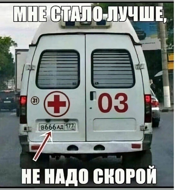 Так себе картинки 11.05.25