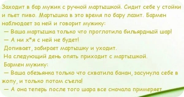 Индийский жадный обезьян скомуниздил бусы у раджи