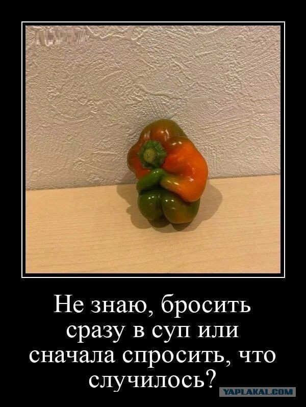 Веселые картинки в понедельник (22.09)