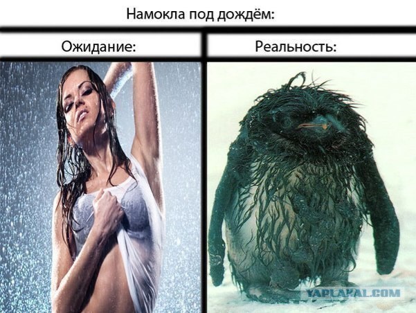 Кто не стесняется.
