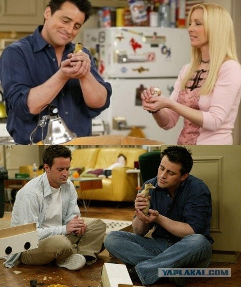 Позитивный утёнок