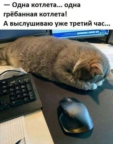 Понедельника картинки