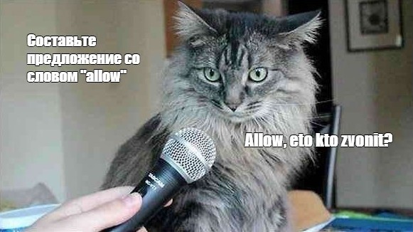 «Сэр, если вы не отдадите свой телефон, они достанут пистолет!»