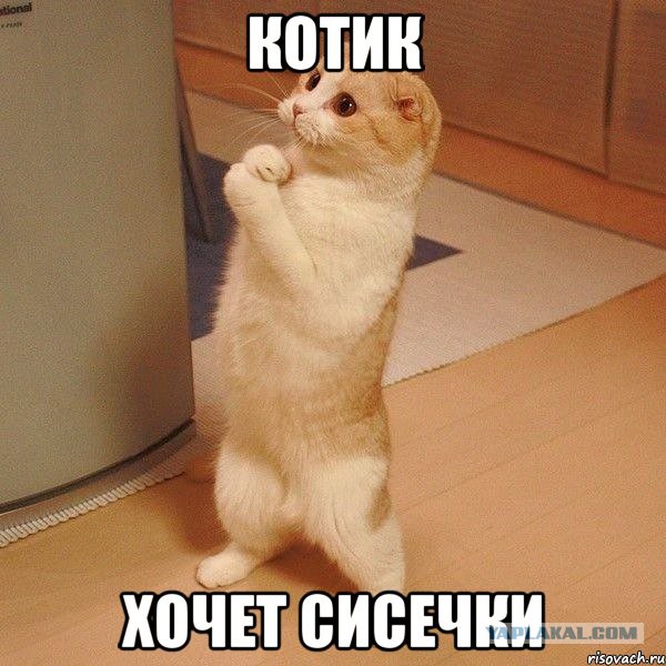 Минутка пропаганды гетеросексуализма