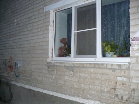 Первый контакт