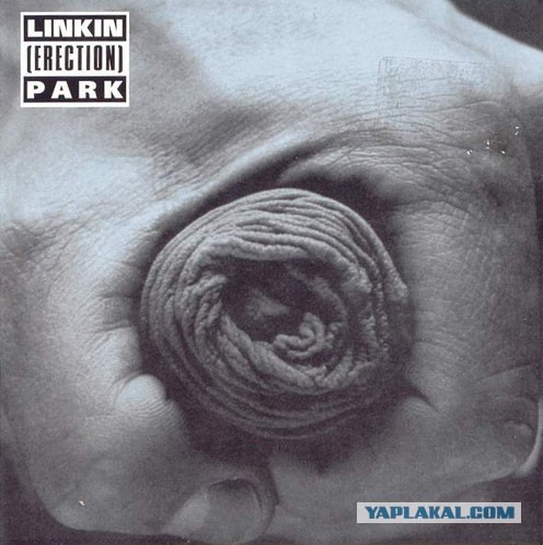 Вот и первые сиськи пошли