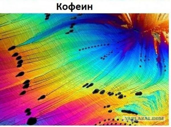 Макро или микро?