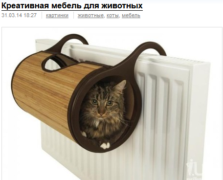 Котовторник 27.5.2014