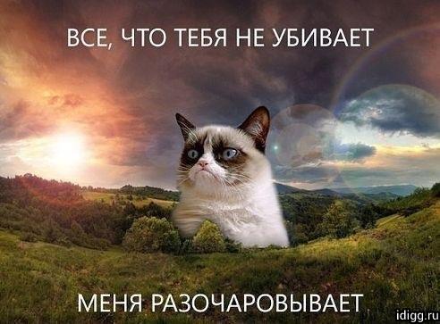 Билл Гейтс облился холодной водой