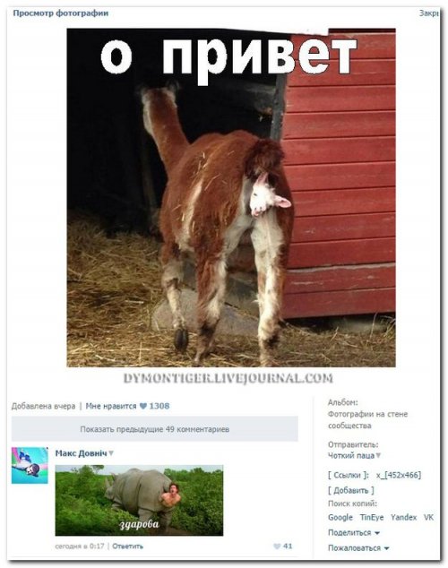 Не знаю, как назвать. Из соцсетей