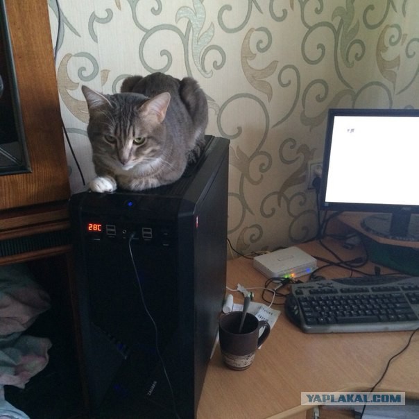 Коробка без конфет