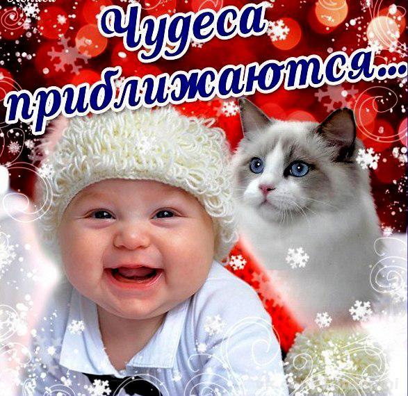 С Новым Годом, ЯП!