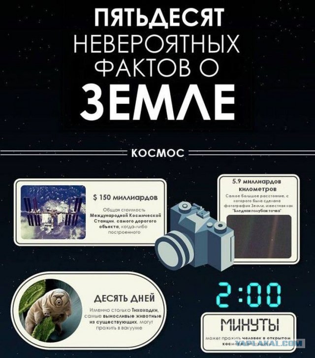 20 фактов обо всем