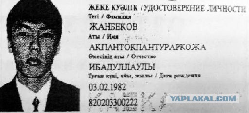Весело приходится жить людям
