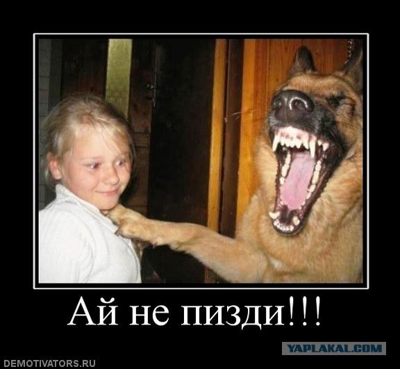 Франция затопила мистраль "Владивосток"