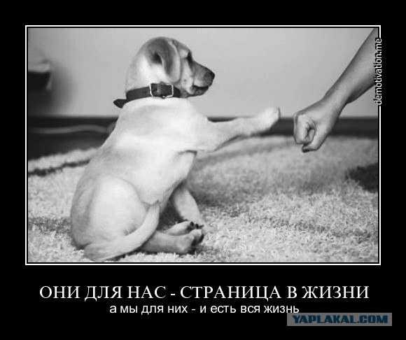 Храните друзей