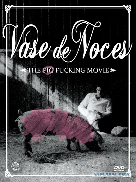 Несколько стоящих, но малоизвестных фильмов