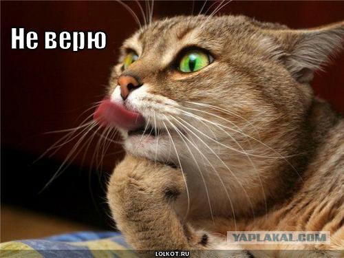 Ким Чен Ын приказал готовиться к наступлению