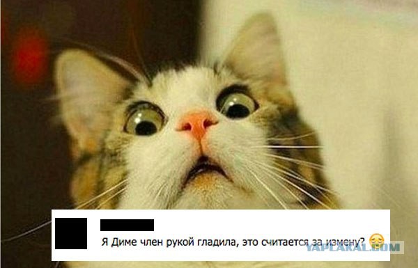 Смешные комментарии 06.09.2015