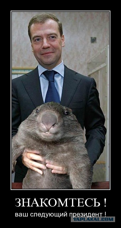 Ленин любил кошек!