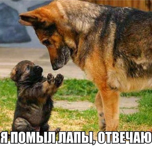 Подборка Картинок из сети