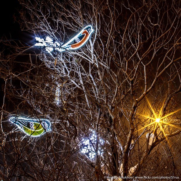 Полярная ночь в Мурманске