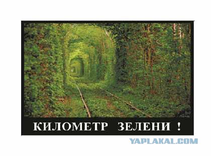 Наглядная разница менталитетов