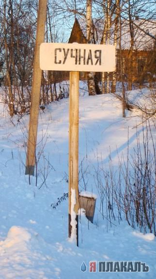 Дорожные знаки и указатели